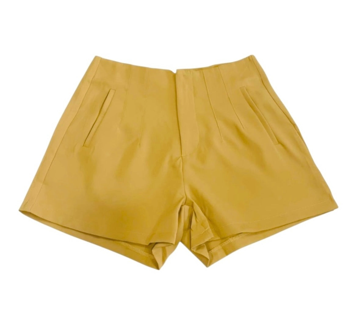 TAILOR THEORY HIGH WAISTED SHORTS
