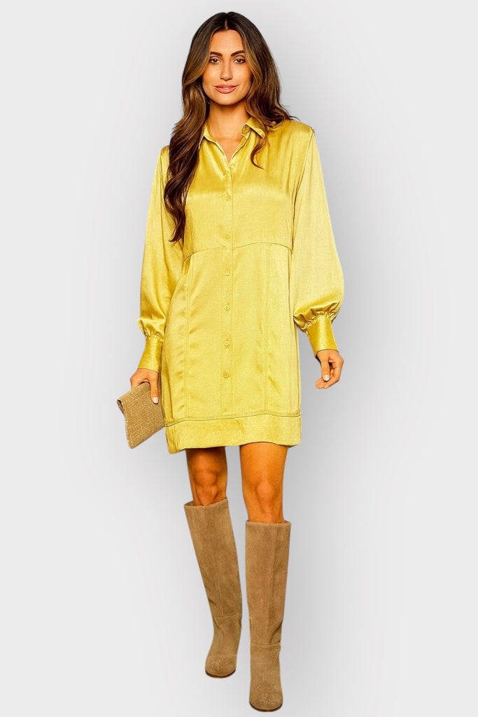 Golden elegance long sleeve mini dress