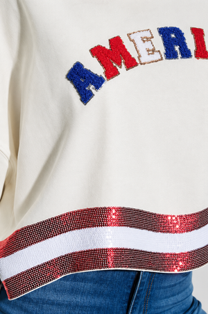Americana crew sequin crop sweater