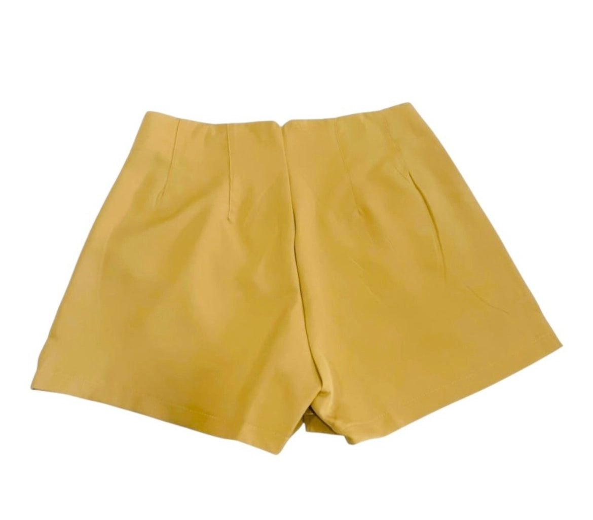 TAILOR THEORY HIGH WAISTED SHORTS