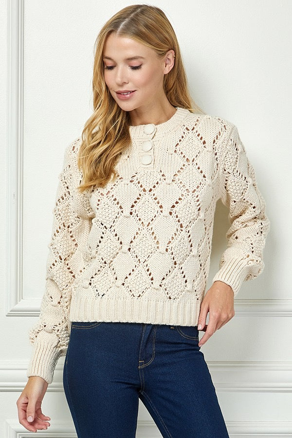 Diamond Whisper Ponitelle Knit Pullover Sweater