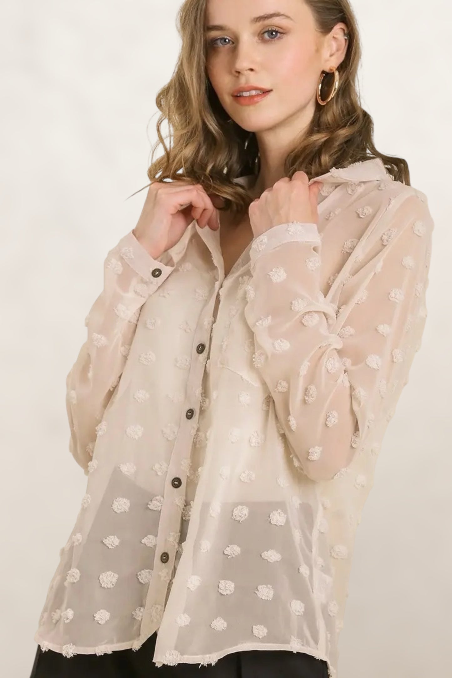 Daydream Sheer Swiss Dot Collar Shirt