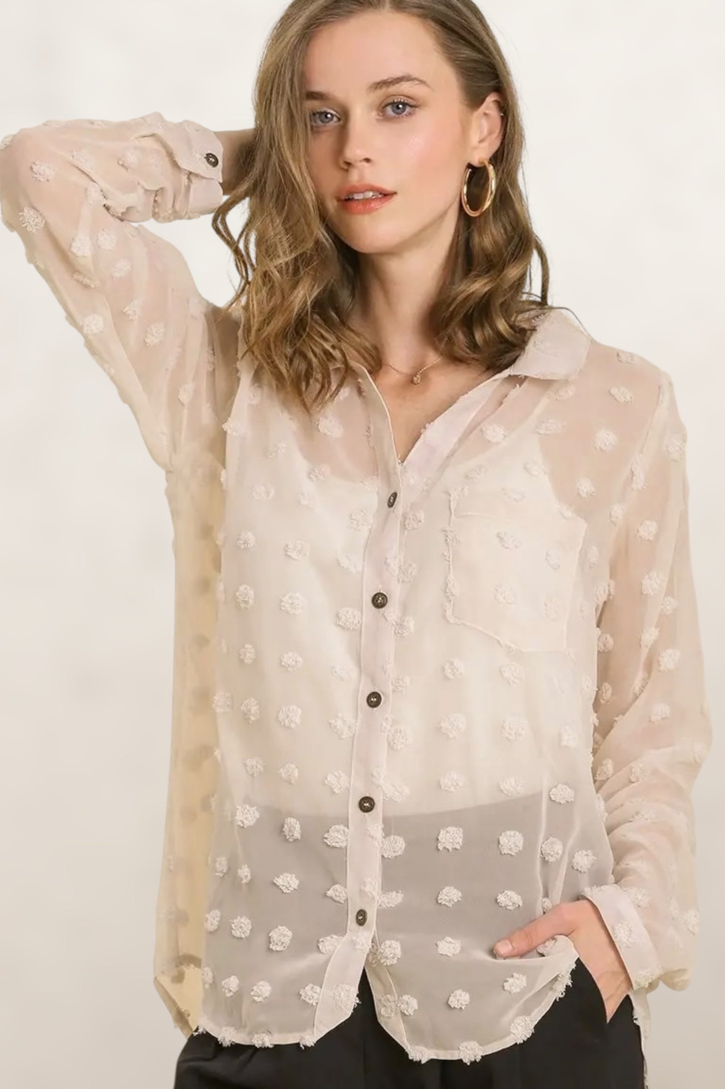 Daydream Sheer Swiss Dot Collar Shirt