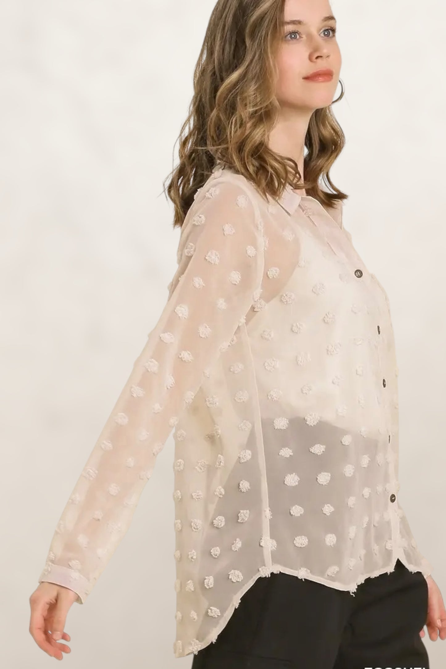 Daydream Sheer Swiss Dot Collar Shirt