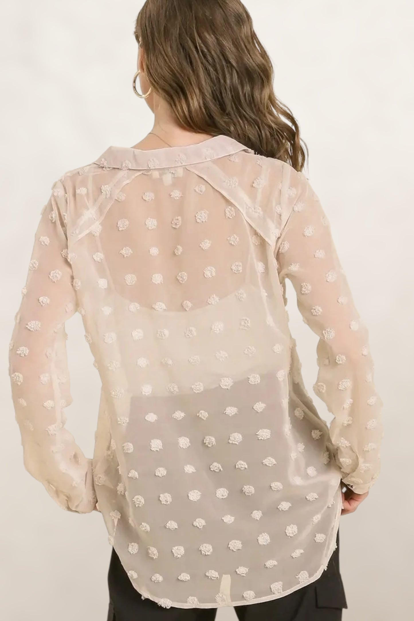 Daydream Sheer Swiss Dot Collar Shirt
