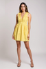 Sleeveless V-neck ruffle mini dress