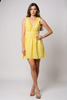 Sleeveless ruffle V-neck fit and flare mini dress